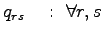 $\displaystyle q_{rs}&nbsp;&nbsp;&nbsp;:&nbsp;\forall r,s$