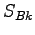 $\displaystyle S_{Bk}$
