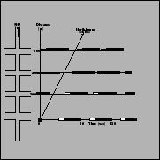 \begin{figure}\centerline{\epsfig{file=c11TimeSpaceFourInt.eps,width=4cm}}\end{figure}