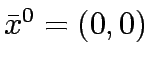 $\bar{x}^0=(0,0)$