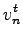 $\displaystyle v_n^t$